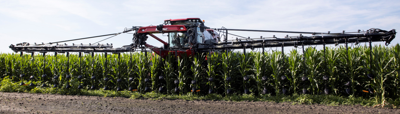 Elevated tractor applying fertilizer to a corn field. Photo taken 05-25-21